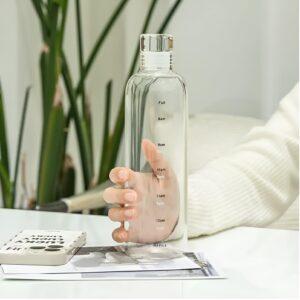 Glass Water Bottle With Silicone Seal Lid